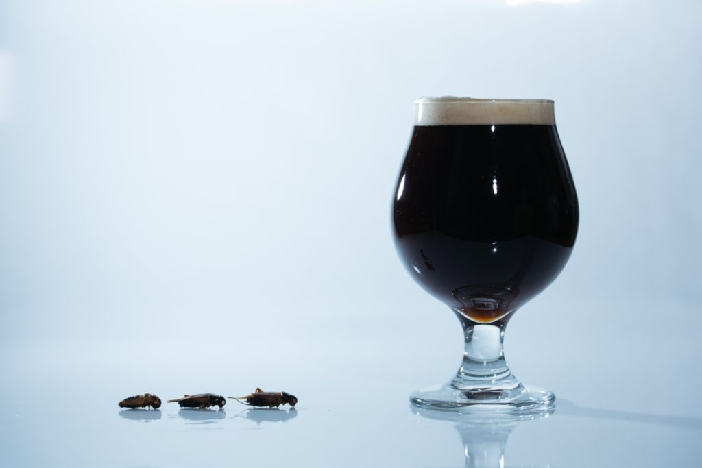 遠野醸造×ANTCICADA(コオロギビール/Cricket Dark Ale)_イメージ2